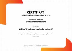 Webinar: Wypełnianie kanałów korzeniowych