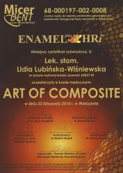 Kurs medyczny: Art of Composite